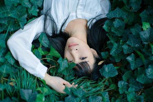 可怕梦境在线观看,在线揭秘恐怖故事