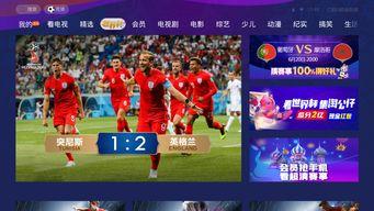 世界杯直播在线观看,世界杯直播盛宴等你来享