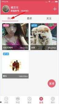 福利在线播放视频,畅享视听盛宴，揭秘热门视频背后的精彩故事