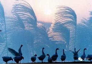 脱困 在线观看,在线观看，解锁人生新篇章