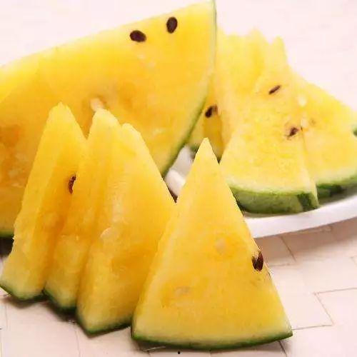 黑料24H吃瓜,揭秘娱乐圈吃瓜盛宴背后的真相