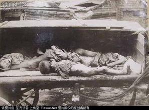 吃人图片大全大图,吃人图片大全大图背后的恐怖真相