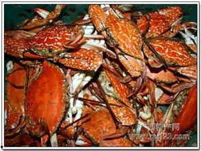 煮熟螃蟹图片大全图片,各式煮熟螃蟹图片大盘点