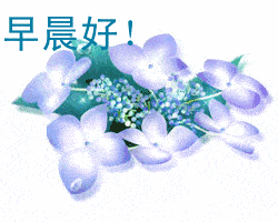 问早晨好动态图片大全,早晨好动态图片大全精选