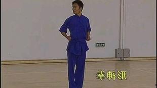 形神拳教学视频,领略传统武术之美，跟随大师学拳术