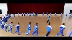 形神拳教学视频,领略传统武术之美，跟随大师学拳术