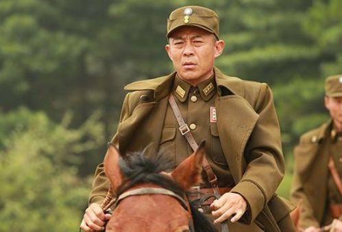 日本 将军,崛起与辉煌的军事传奇