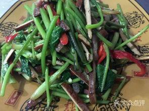 野生人生菜图片大全