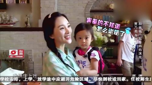 李小璐早期床戏视频,情感纠葛与演艺生涯的转折点