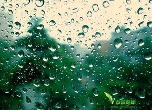 下雨天睡觉图片,静谧时光中的温馨睡眠瞬间