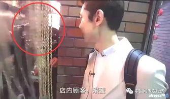 日韩污视频,内容解析与影响探讨