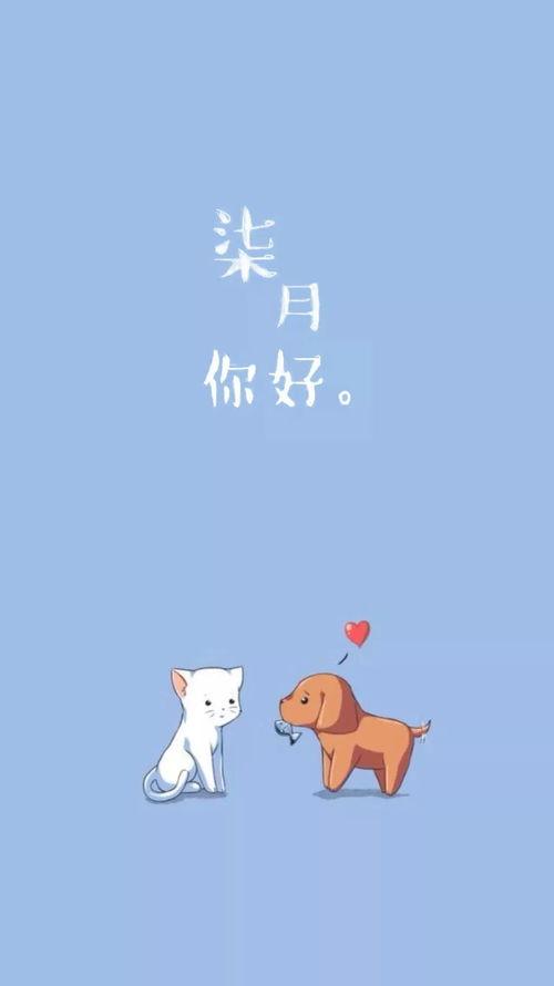 好 图片,好图背后的故事与灵感